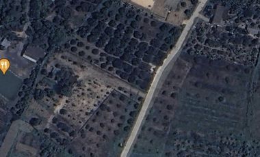 ☀️ที่ดินใกล้ #นิคมลำพูน ที่ดินเปล่าถมแล้ว ถนนคอนกรีต หลังดูโฮม มีหลายแปลง ราคาดี