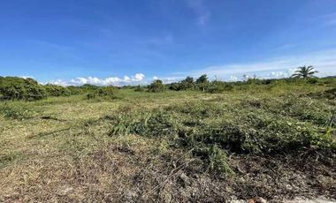 ☀️ที่ดินใกล้ #นิคมลำพูน ที่ดินเปล่าถมแล้ว ถนนคอนกรีต หลังดูโฮม มีหลายแปลง ราคาดี