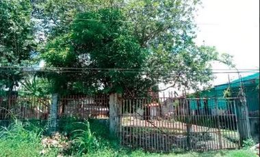 Foreclosed: Canetown Subdivision, Brgy. Xix-A, Victorias City. Negros Occidental