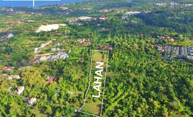 Tanah view Laut 1 hektar di Ungasan kuta selatan , cocok untuk di kavling