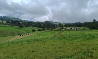 Finca Chocontá