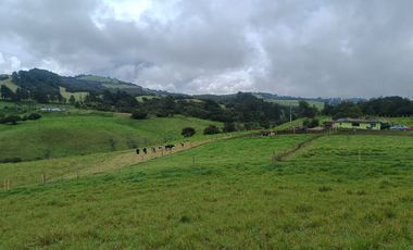 Finca Chocontá