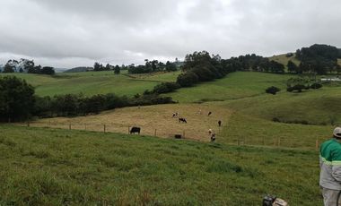 Finca Chocontá