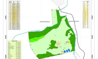 SE VENDE FINCA SAN LUIS/ PALERMO (HUI-COL)