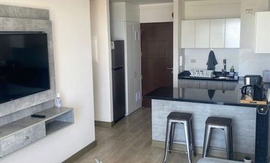 Lindo Mini-Dpto, 40 m2, amoblado, 1 dorm, 1 baño, zona exclusiva, vista panorámica