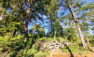 Parcelas Sector Piedra Blanca Alto