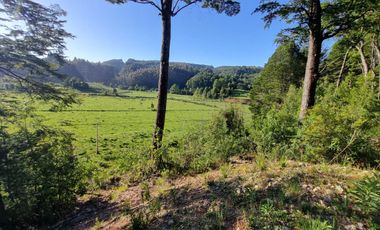 Parcelas Sector Piedra Blanca Alto