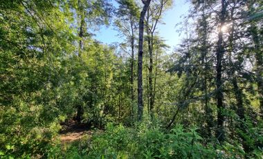 Parcelas Sector Piedra Blanca Alto