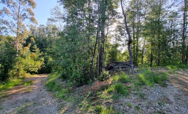 Parcelas Sector Piedra Blanca Alto