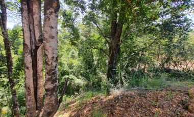 Parcelas Sector Piedra Blanca Alto