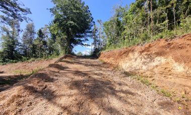 Parcelas Sector Piedra Blanca Alto
