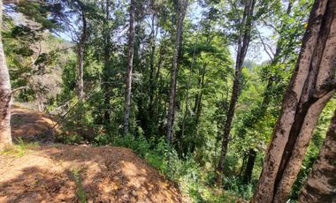 Parcelas Sector Piedra Blanca Alto