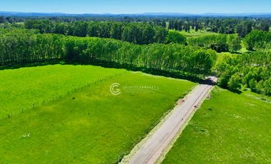 PARCELAS A 8 KM DE OSORNO - CENTAURA