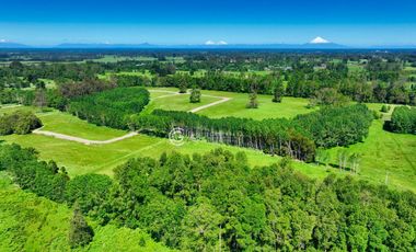 PARCELAS A 8 KM DE OSORNO - CENTAURA