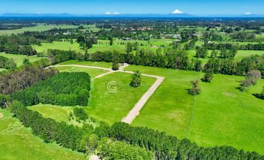 PARCELAS A 8 KM DE OSORNO - CENTAURA