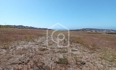 Terreno en arriendo 10.000/40.000 m2, sector El Panul, Coquimbo