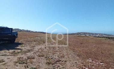 Terreno en arriendo 10.000/40.000 m2, sector El Panul, Coquimbo