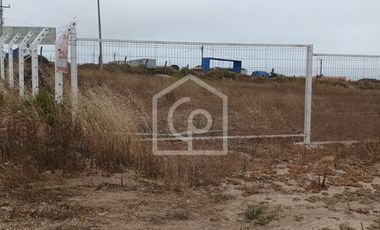 Terreno en arriendo 10.000/40.000 m2, sector El Panul, Coquimbo