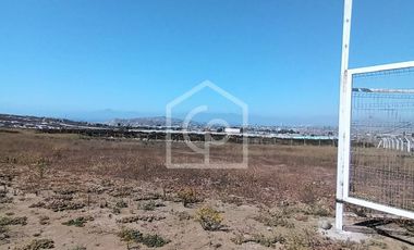 Terreno en arriendo 10.000/40.000 m2, sector El Panul, Coquimbo