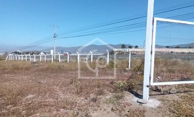 Terreno en arriendo 10.000/40.000 m2, sector El Panul, Coquimbo