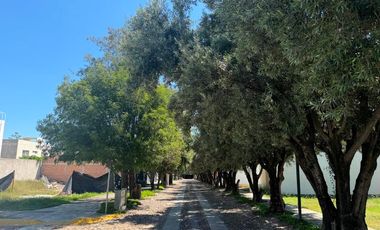 Terreno en venta en Aguascalientes, habitacional, Los Olivos Residencial