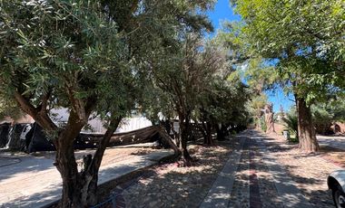 Terreno en venta en Aguascalientes, habitacional, Los Olivos Residencial