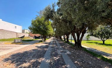 Terreno en venta en Aguascalientes, habitacional, Los Olivos Residencial