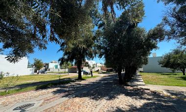 Terreno en venta en Aguascalientes, habitacional, Los Olivos Residencial