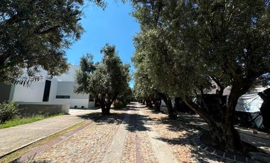 Terreno en venta en Aguascalientes, habitacional, Los Olivos Residencial