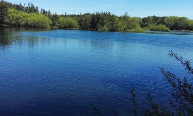 Parcela junto al río Tolten