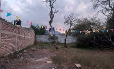 TERRENOS EN VENTA, LOS MEZQUITES, AHUALULCO DE MERCADO, JAL.