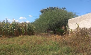 TERRENOS EN VENTA, LOS MEZQUITES, AHUALULCO DE MERCADO, JAL.