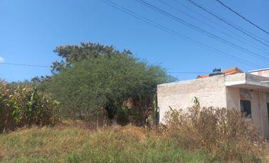 TERRENOS EN VENTA, LOS MEZQUITES, AHUALULCO DE MERCADO, JAL.