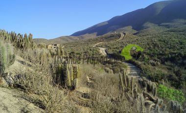 Venta de Parcelas con crédito directo, a minutos de La Serena, sector Quilacán. Desde $19 millones