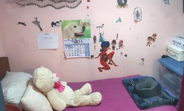 TIERRA AMARILLA/FERROCARRIL/MAIPÚ