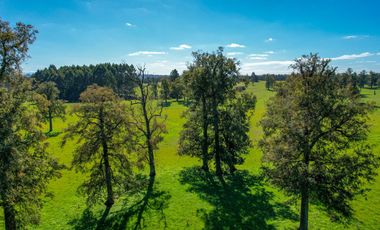 La mejor ubicación para vivir en Osorno