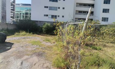 EL BARREAL : ENTRE RECTA CHOLULA Y CAMINO REAL