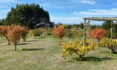 ¡Espectacular campito con casa a 10 minutos de La Unión! Antes UF16920 Ahora UF13422