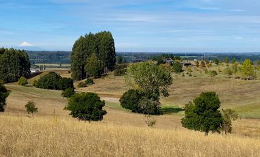 ¡Espectacular campito con casa a 10 minutos de La Unión! Antes UF16920 Ahora UF13422