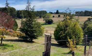 ¡Espectacular campito con casa a 10 minutos de La Unión! Antes UF16920 Ahora UF13422