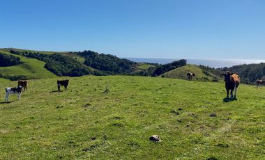 ¡Gran oportunidad, campito en Estaquilla con vista al mar!