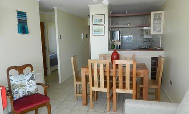 Arriendo Vacacional El Palmar III tercer piso frontal La Serena