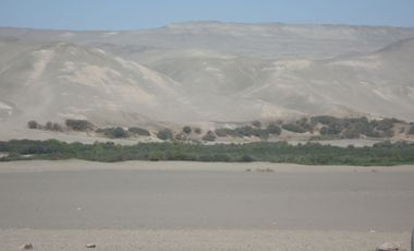 Venta Terreno Nazca, Ica