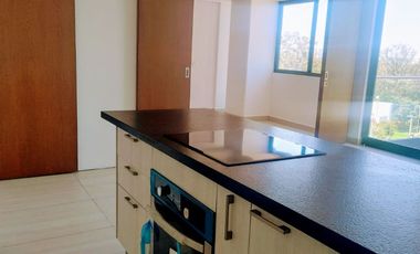 Departamento en RENTA en Colomos Providencia
