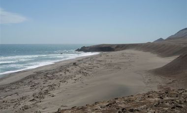 Venta Terreno Nazca, Ica 50 Has frente al mar - 14 USS / m2