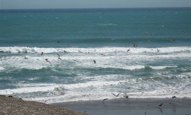 Venta Terreno Nazca, Ica 50 Has frente al mar - 14 USS / m2