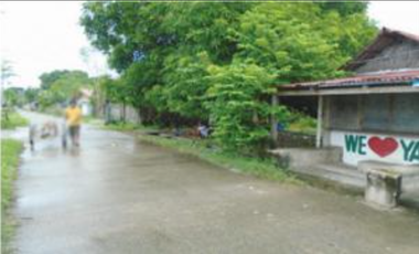 𝐏𝐑𝐎𝐏𝐄𝐑𝐓𝐘 𝐅𝐎𝐑 𝐒𝐀𝐋𝐄  𝐢𝐧 Melegrito St., Brgy. Poblacion 3, Pura, Tarlac