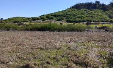 Vendo Parcela de 5000 m2, Sexta Región, bajó  su valor rebajado