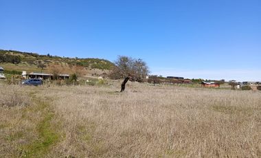 Vendo Parcela de 5000 m2, Sexta Región, bajó  su valor rebajado