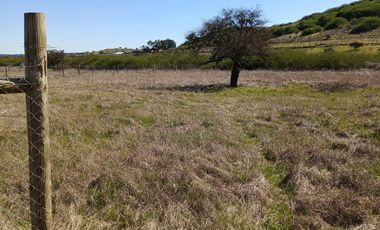Vendo Parcela de 5000 m2, Sexta Región, bajó  su valor rebajado